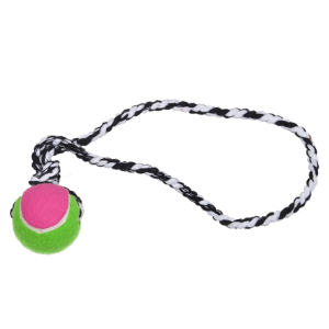 Push Dog Ball B